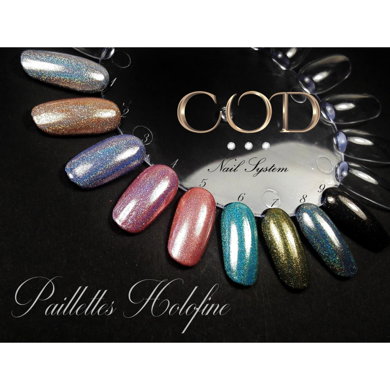 Paillettes Holofine 1