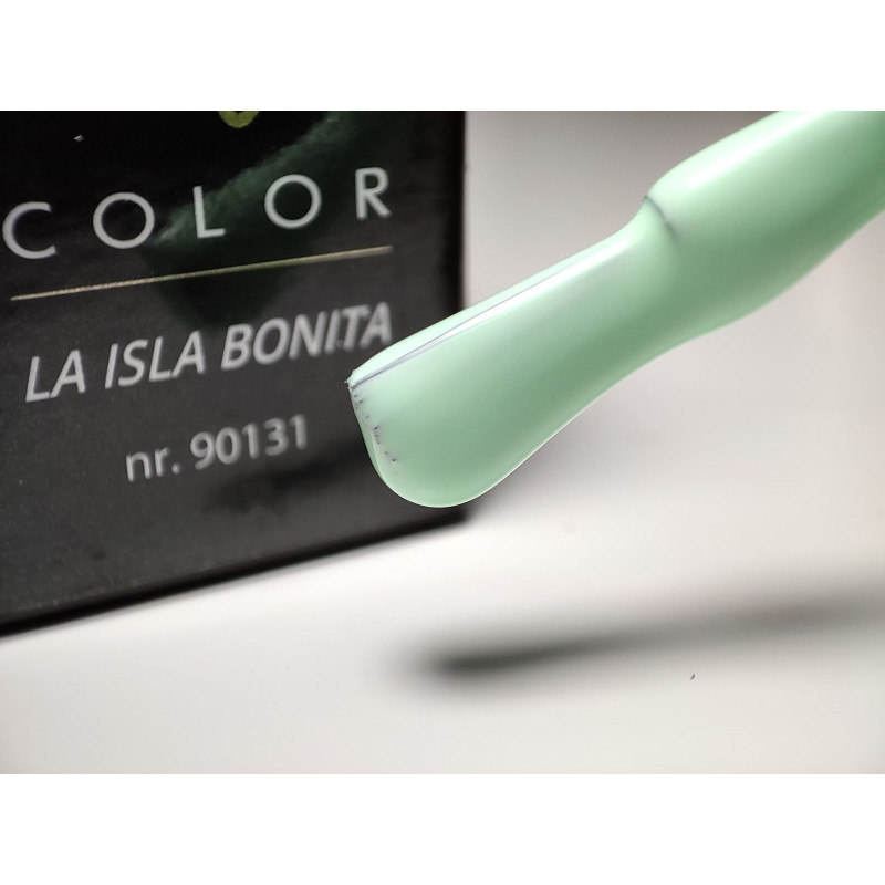 Pinceau remplit de My Color La Isla Bonita