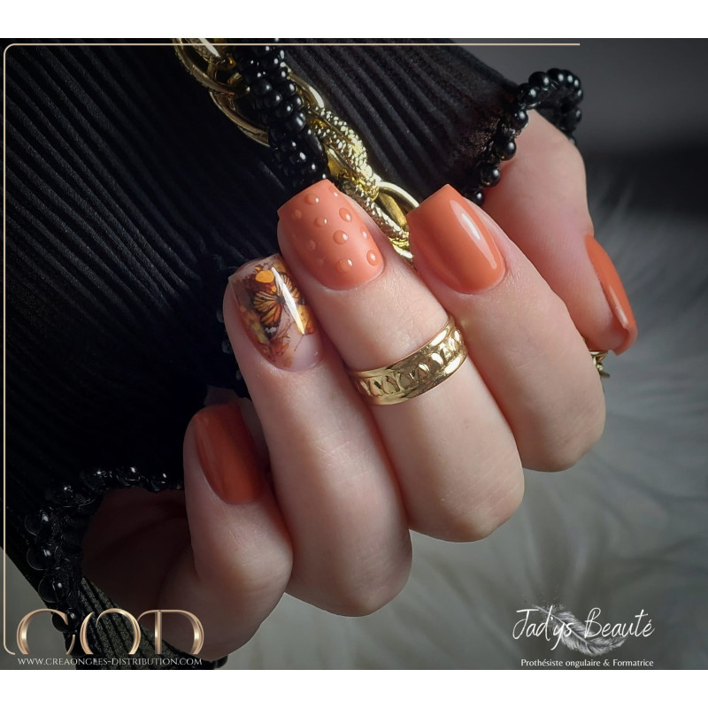 Rounded fait avec le My Color Someday