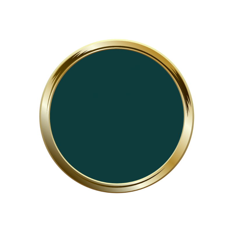 Pastille de My Color Survivor