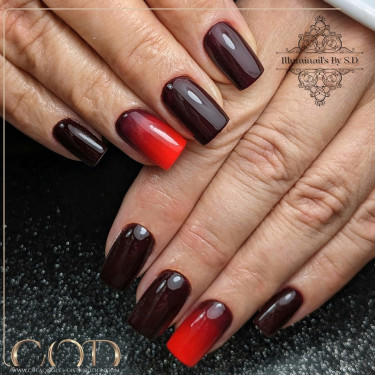 Square fait avec le My Color Winter