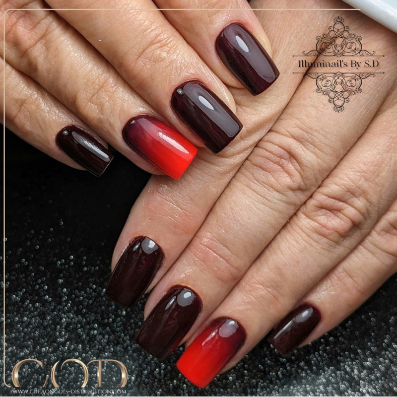 Square fait avec le My Color Winter