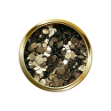 Mix ô Paris L\'eucalyptus