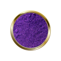 Pigment Chrome Cosmos