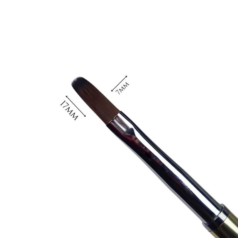 Gros plan sur la tête de Brush Line Diamond Oval N°8