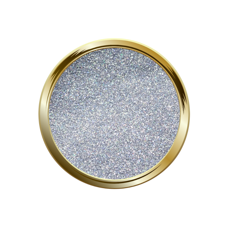 Paillettes Holofine 1