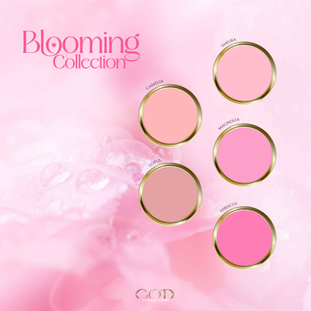 Visuel de Blooming Collection