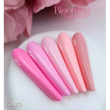 Popit fait avec le Blooming Collection