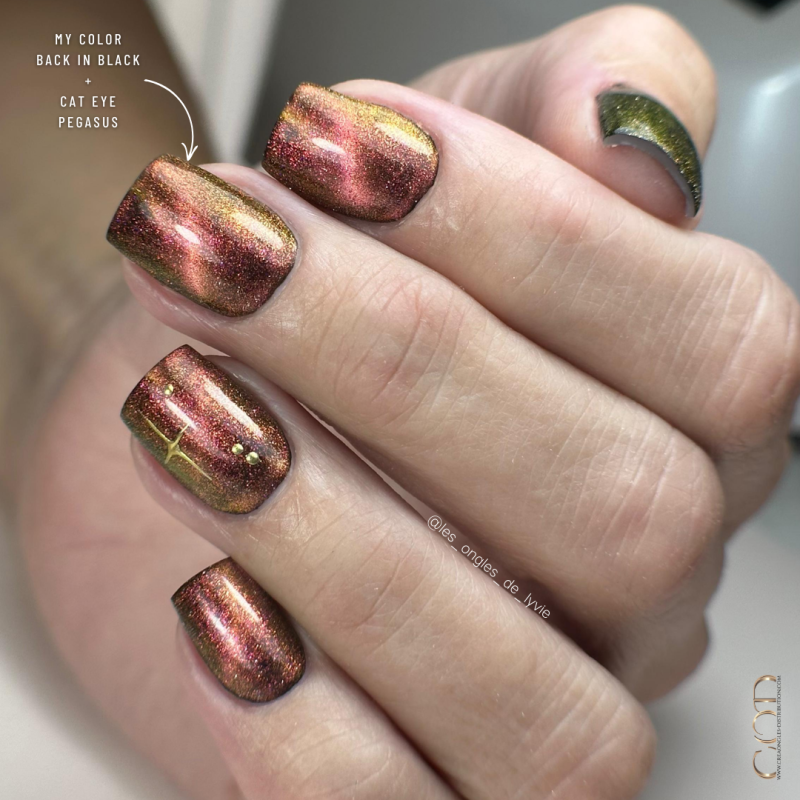 Pose carrée avec le My Color Cat Eye Pegasus sur Back In Black