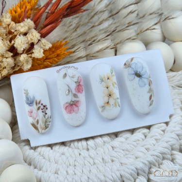 photo capsules aquarelle multicolore