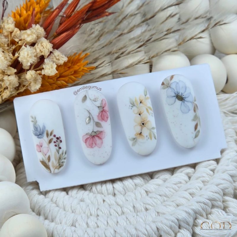 photo capsules aquarelle multicolore