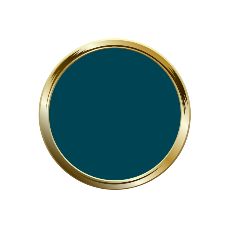 Pastille de My Color Survivor