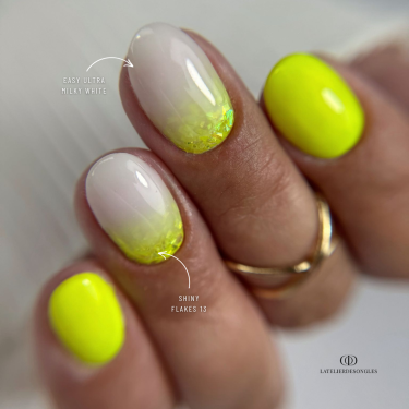 Pose ovale avec les paillettes Shiny Flakes 13