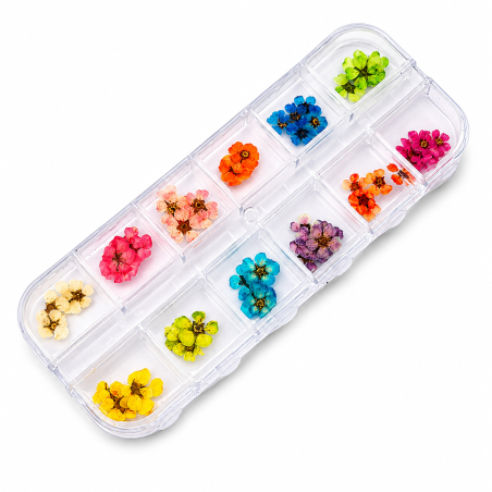 fleur séchées pour incrustation nail art
