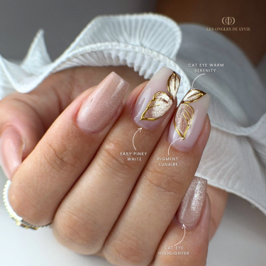 nail art papillon cat eye pigment