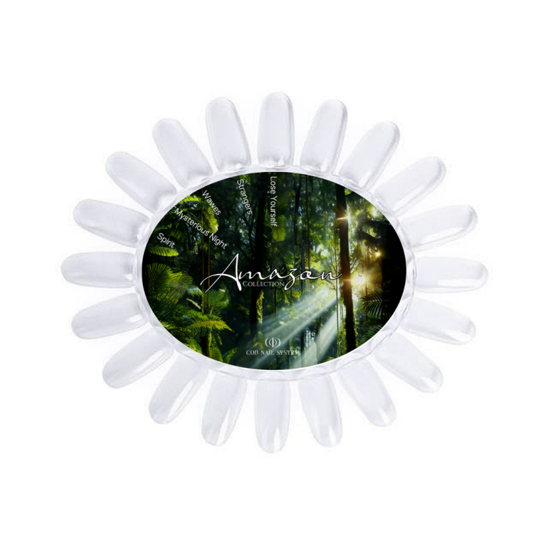 Nuancier clear de la collection Amazon