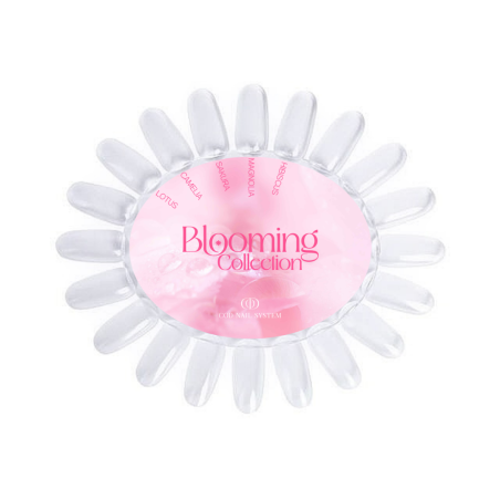 Nuancier clear de la collection Blooming