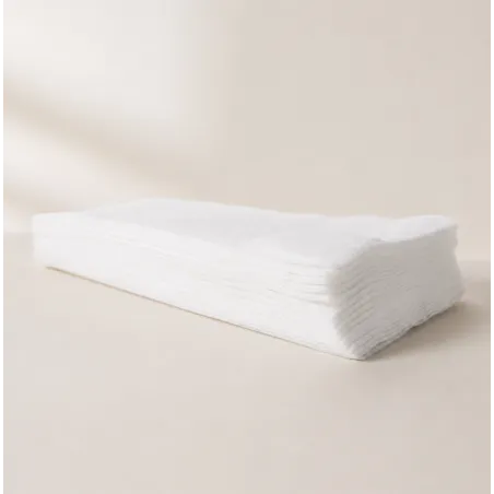 Sur-filtres pour aspirateur Hoover Pro