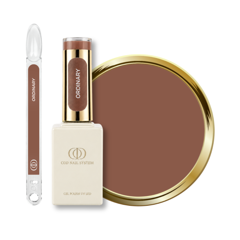 Flacon, tips et pastille du vernis semi permanent Ordinary, marron medium terracotta