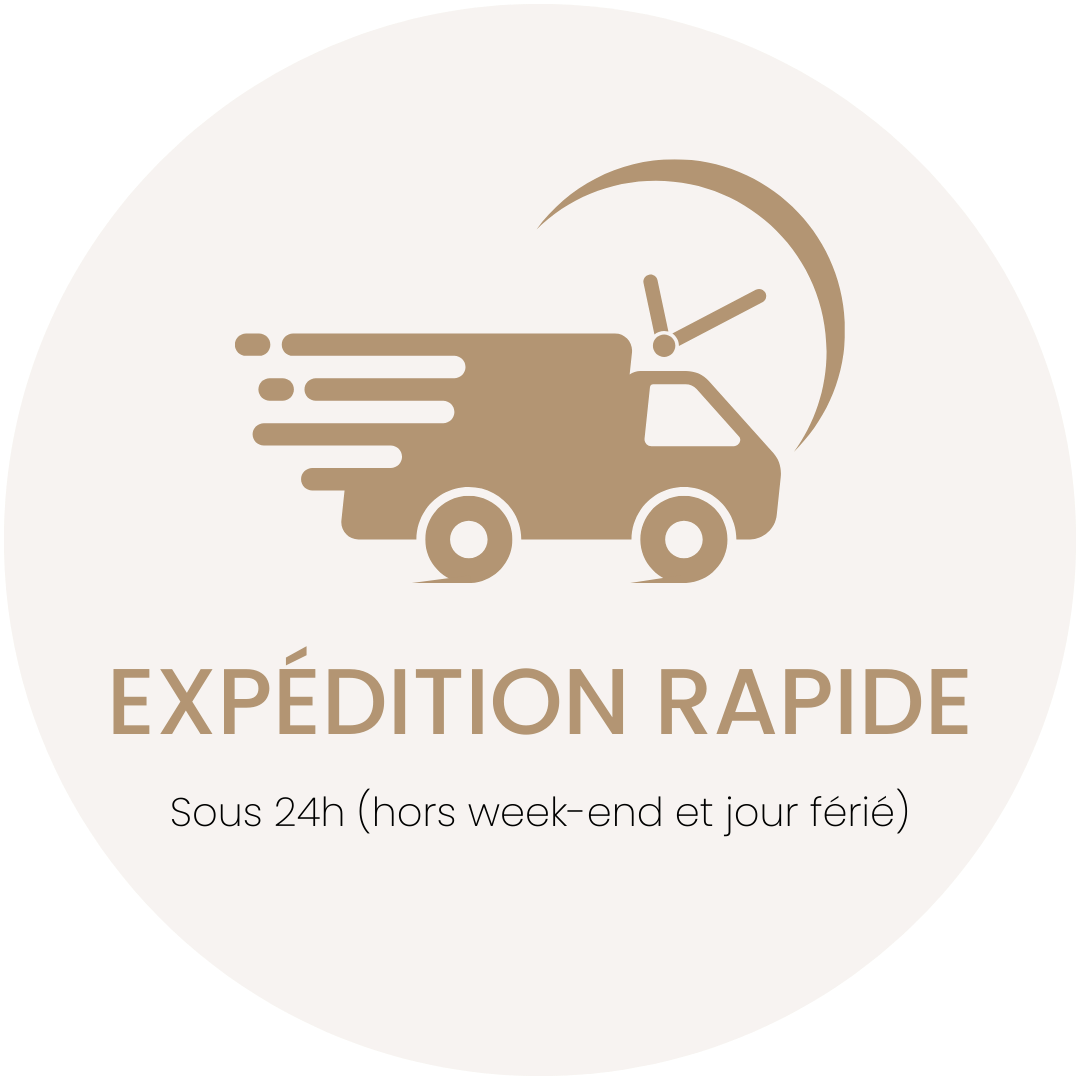 Icone de livraison rapide