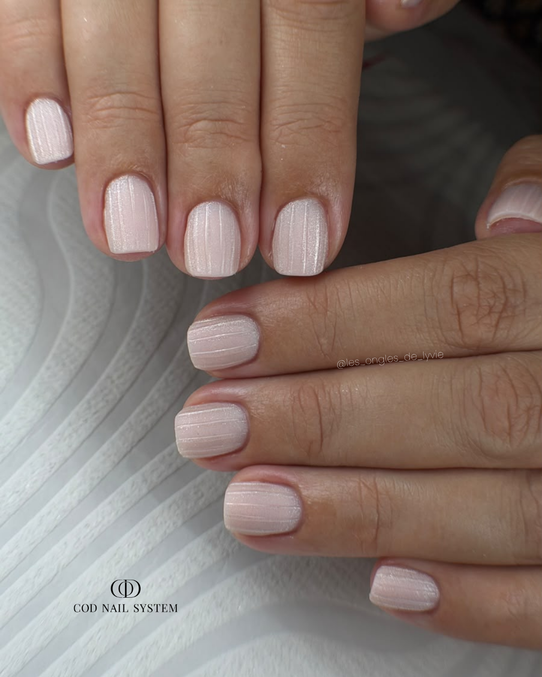 Pose d'ongles nude cat eye soie et 3D Pose d'ongles nude cat eye soie matt avec lignes 3D clear