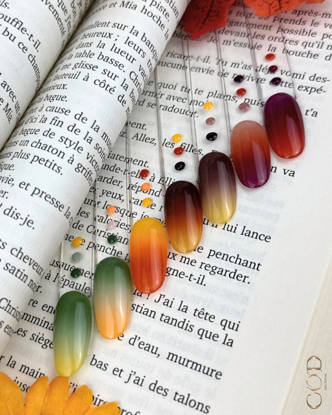 Tips compsé d'un dégradé de 3 couleurs le tout poser dans un livre