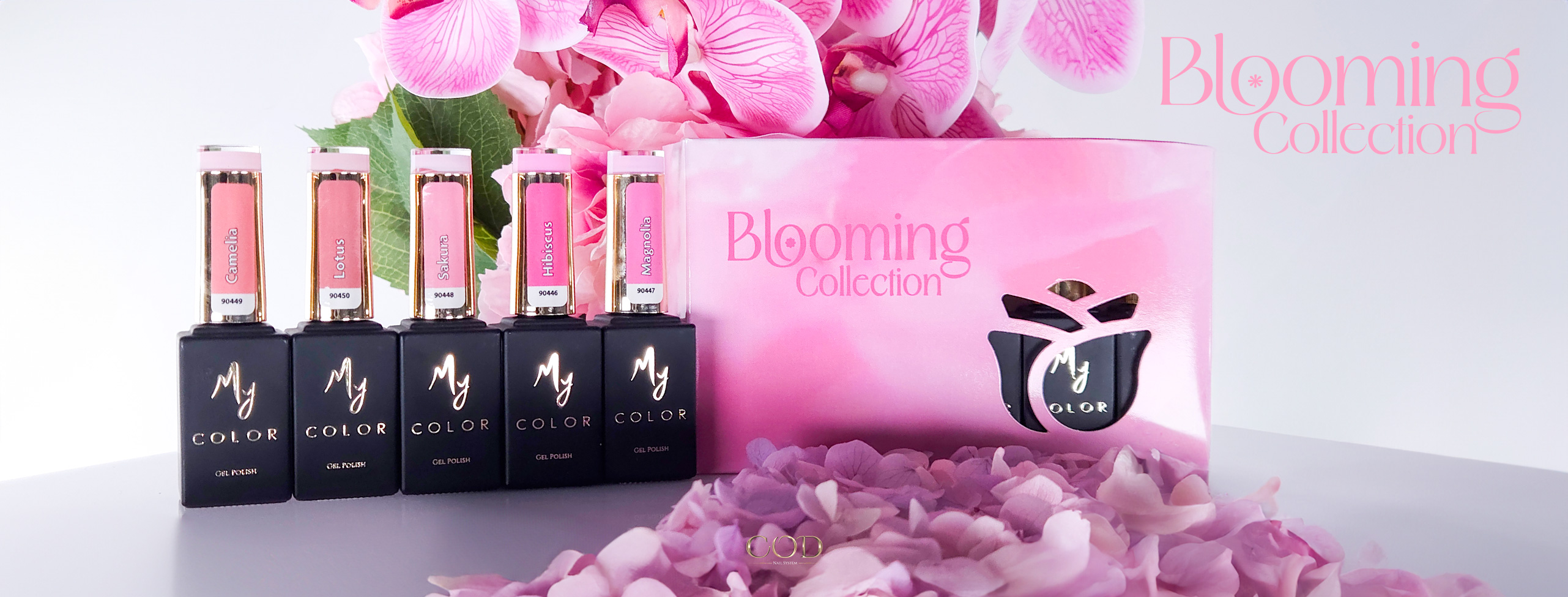 Bannière site blooming collection - vsp rose 
